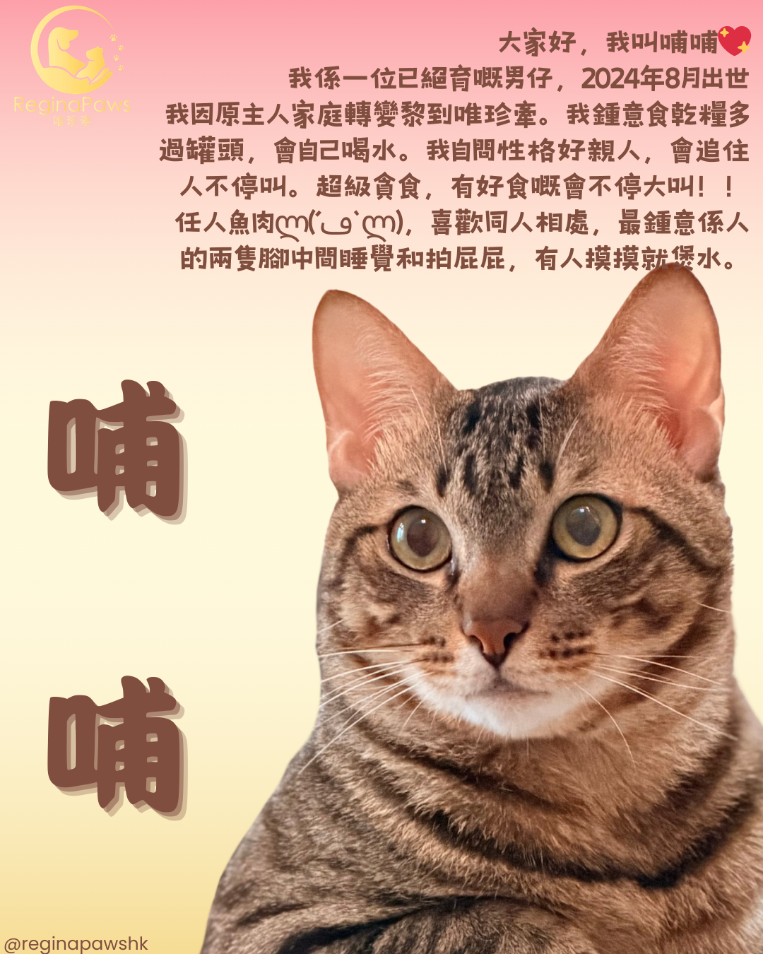 哺哺